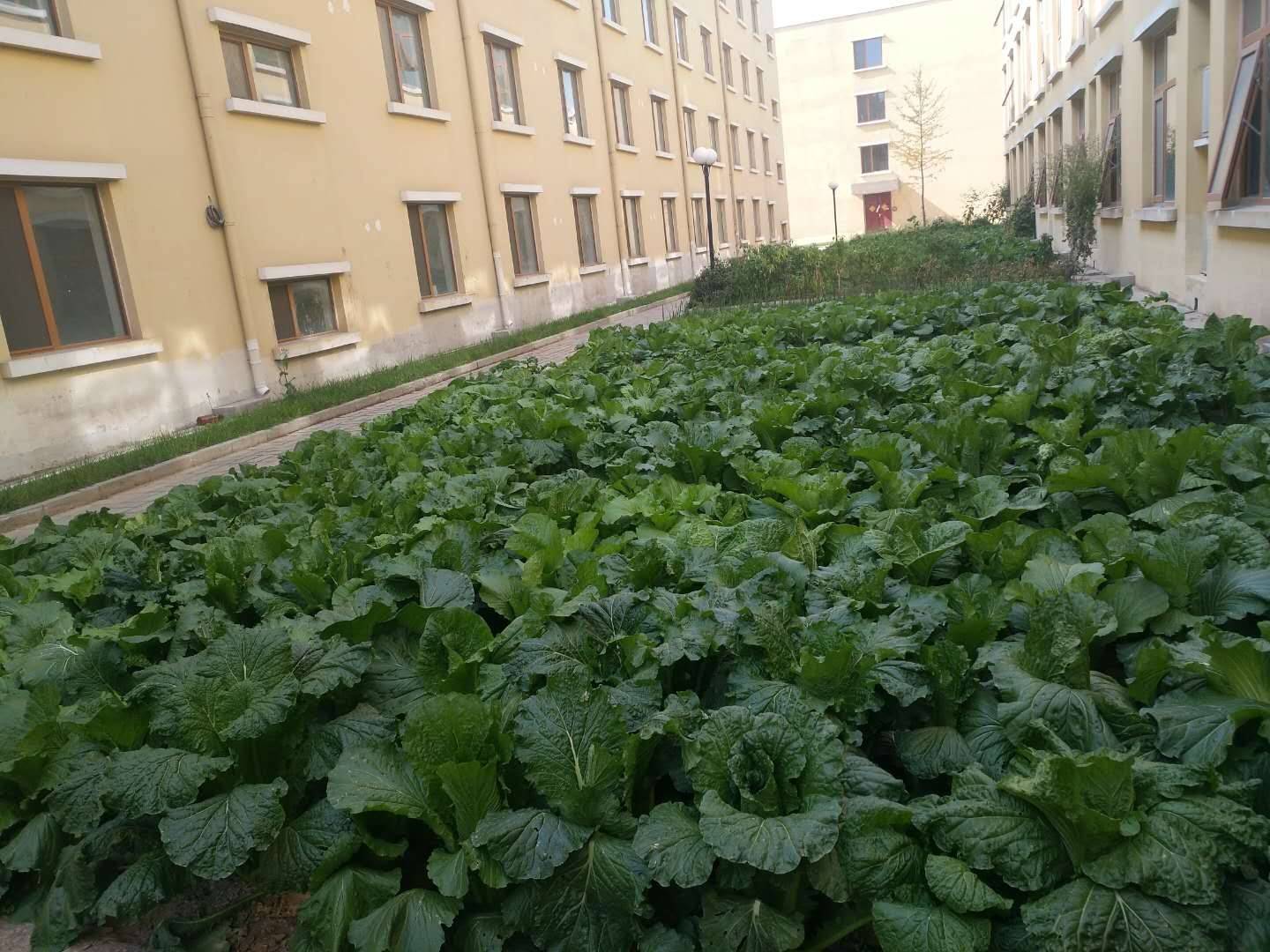 区望京街道寸草春晖养老照料中心｜高性价比+收费一览表不朽情缘网站2026最新高性价比养老院收费标准朝阳(图33)