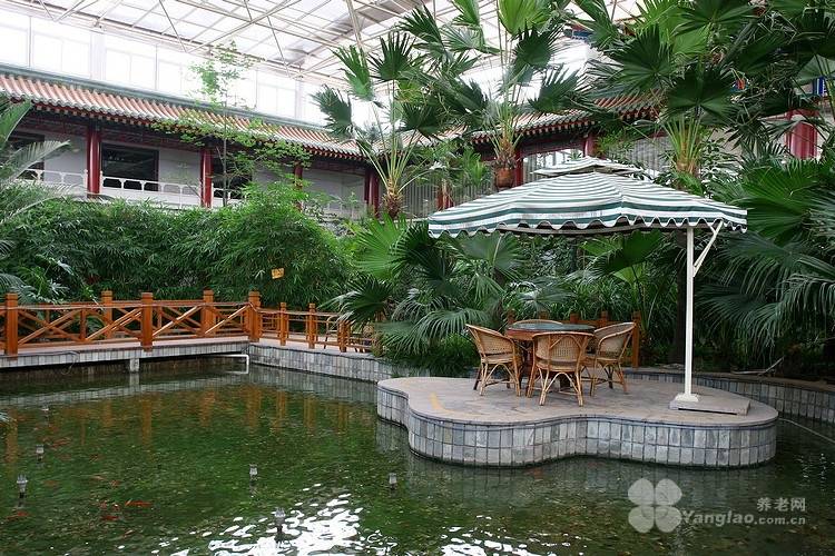 区望京街道寸草春晖养老照料中心｜高性价比+收费一览表不朽情缘网站2026最新高性价比养老院收费标准朝阳(图27)