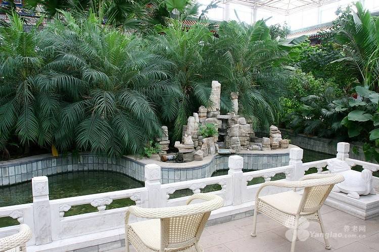 利养老院查询｜观音堂益康养老院｜与价格剖析｜2026最新mg不朽情缘游戏网站2026最新｜朝阳区术后康复交通便(图12)